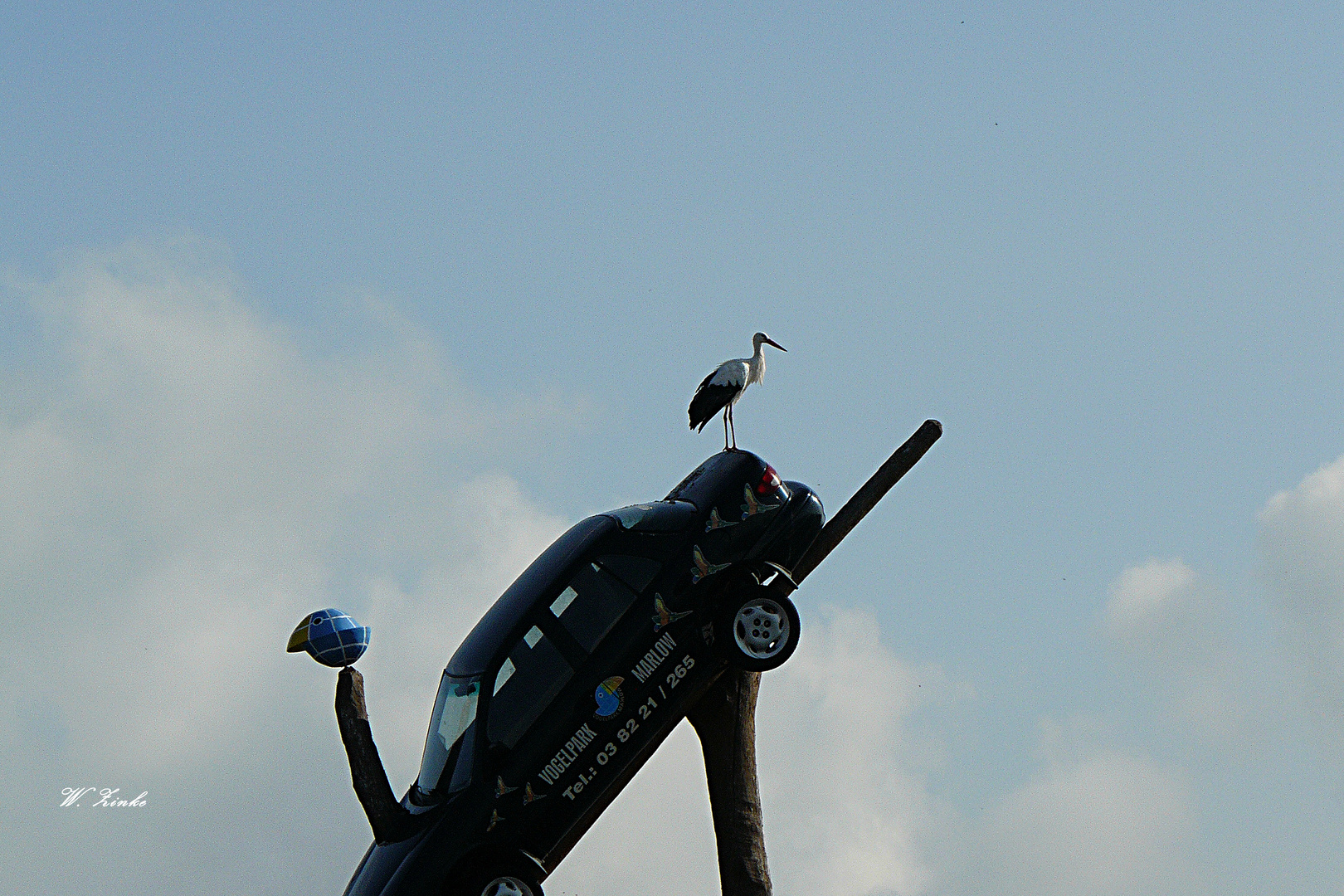 Der Storch begrüßt die Gäste auf dem Parkplatz im Vogelpark Marlow