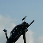 Der Storch begrüßt die Gäste auf dem Parkplatz im Vogelpark Marlow