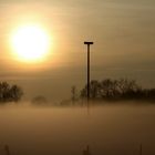 Der Storch ist in der Sommerfrische