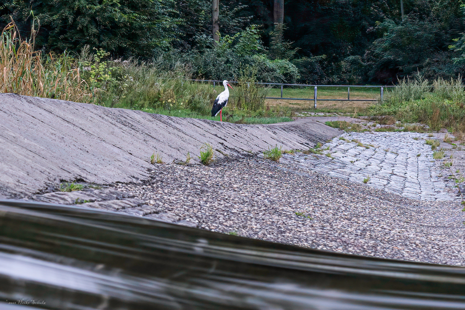 Der Storch vom Cracauer Wasserfall