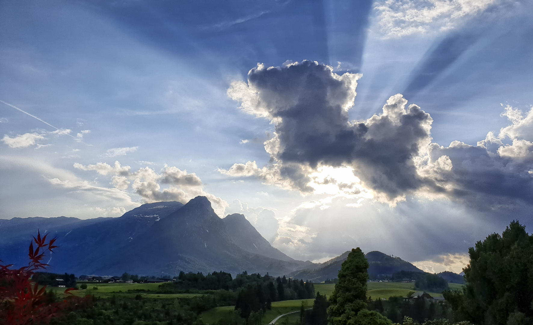 der strahlende Himmelhund