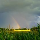 Der strahlende Regenbogen