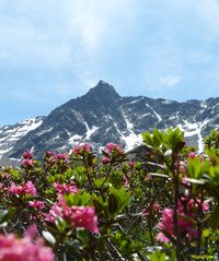 Der Strahlkogel