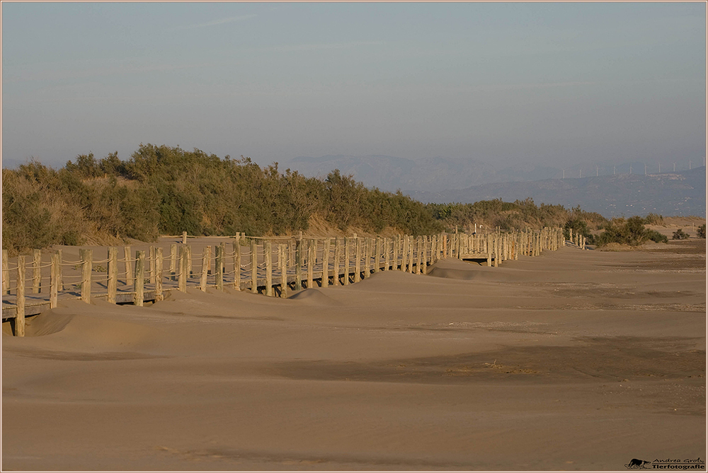 .. der Strand ...