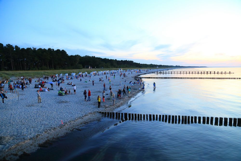 Der Strand auf Zingst