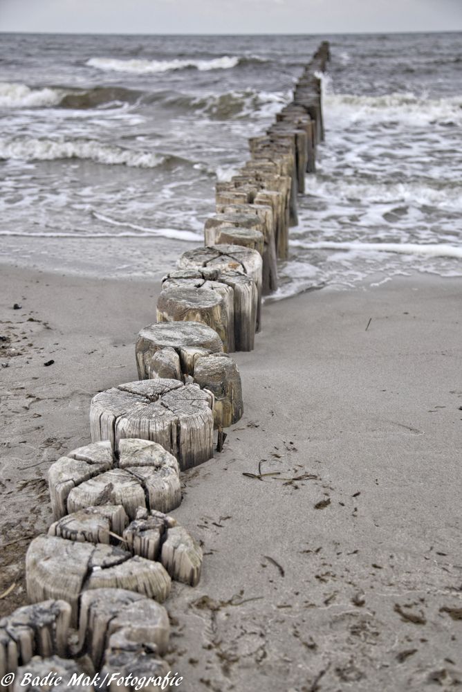 Der Strand auf Zingst