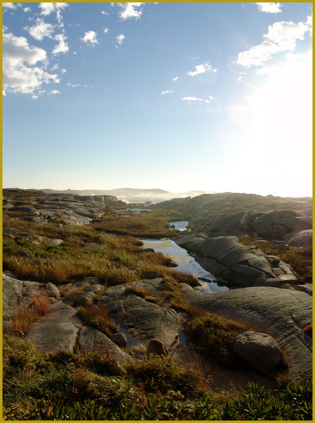 Der Strand bei Peggys Cove