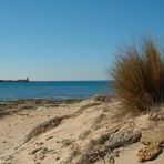 Der Strand bei Sancti Petri, Costa de la Luz