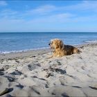 Der Strand gehört mir ganz allein ...!