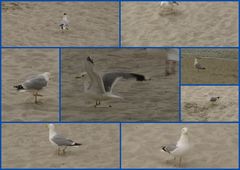 der strand gehört uns . .