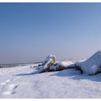 der Strand im Schnee