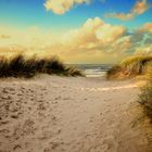 Der Strand in Bredene Flandern Belgien