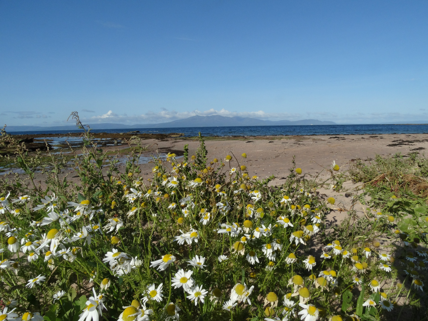 Der Strand in Largs