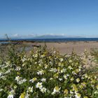 Der Strand in Largs