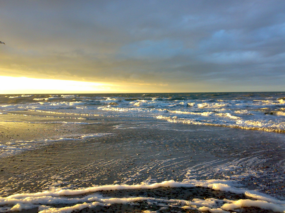 Der Strand inspiriert die Sinne