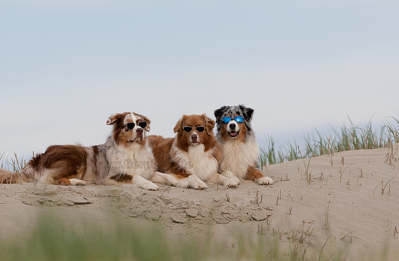 Der Strand ist sicher!