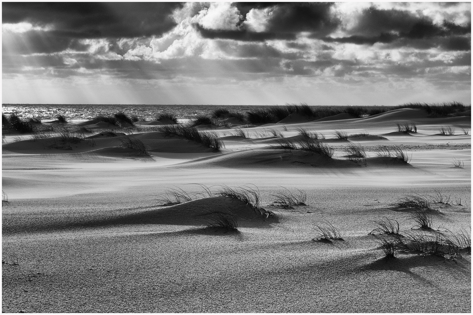 der strand lebt