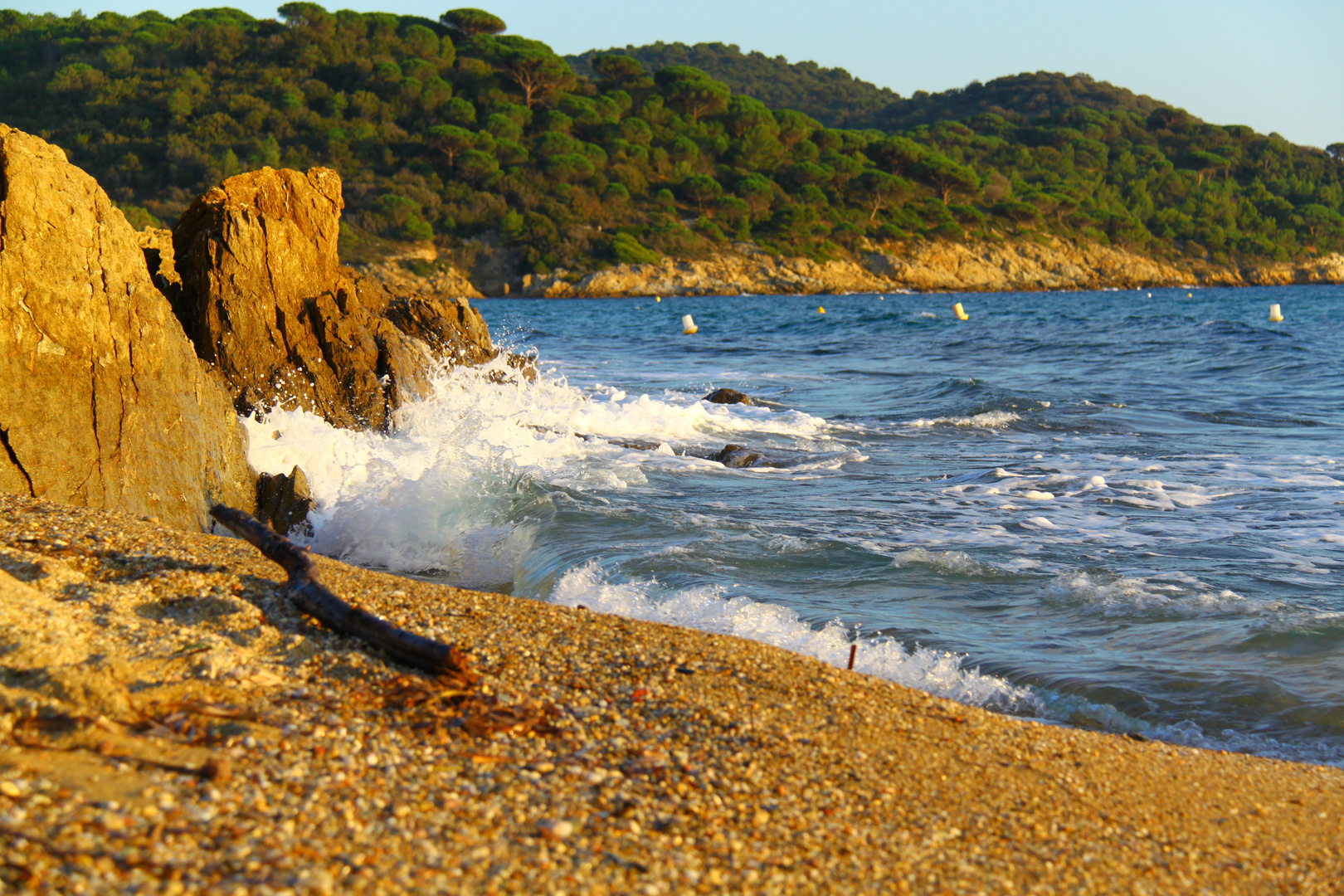 Der Strand und das Holz