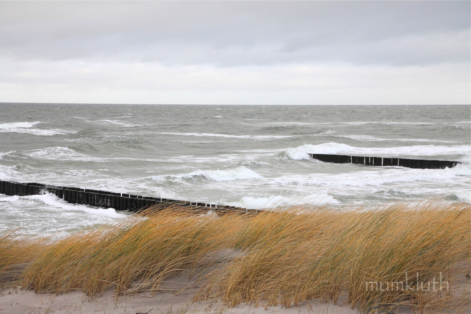 Der Strand von Ahrenshoop