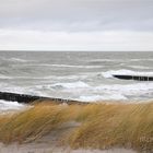 Der Strand von Ahrenshoop