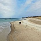 Der Strand von Ahrenshoop im März