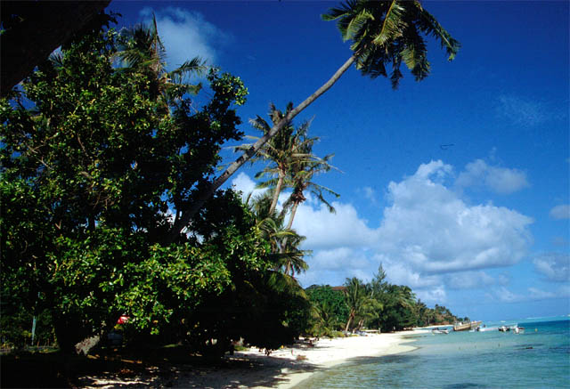 Der Strand von Bora Bora