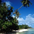 Der Strand von Bora Bora