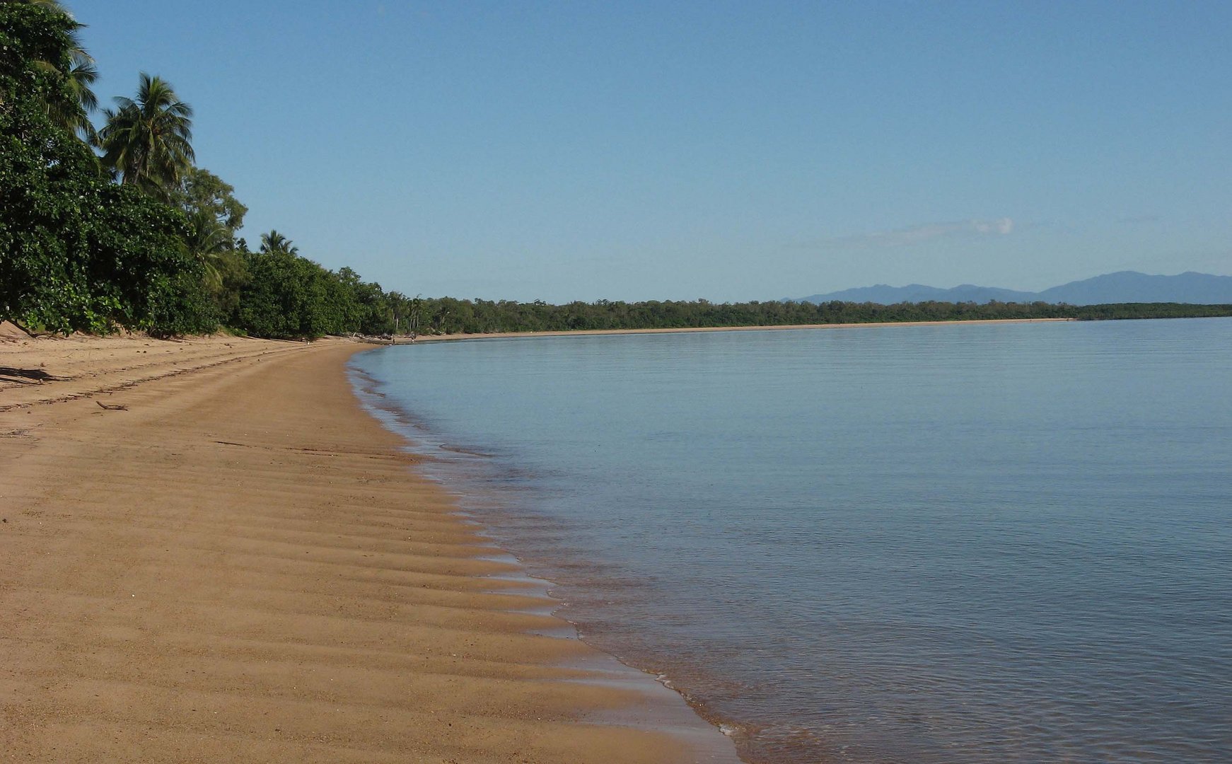 Der Strand von Cardwell ...