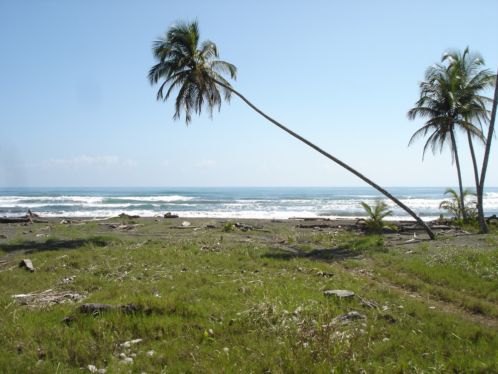 Der Strand von Costa Rica