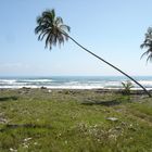 Der Strand von Costa Rica