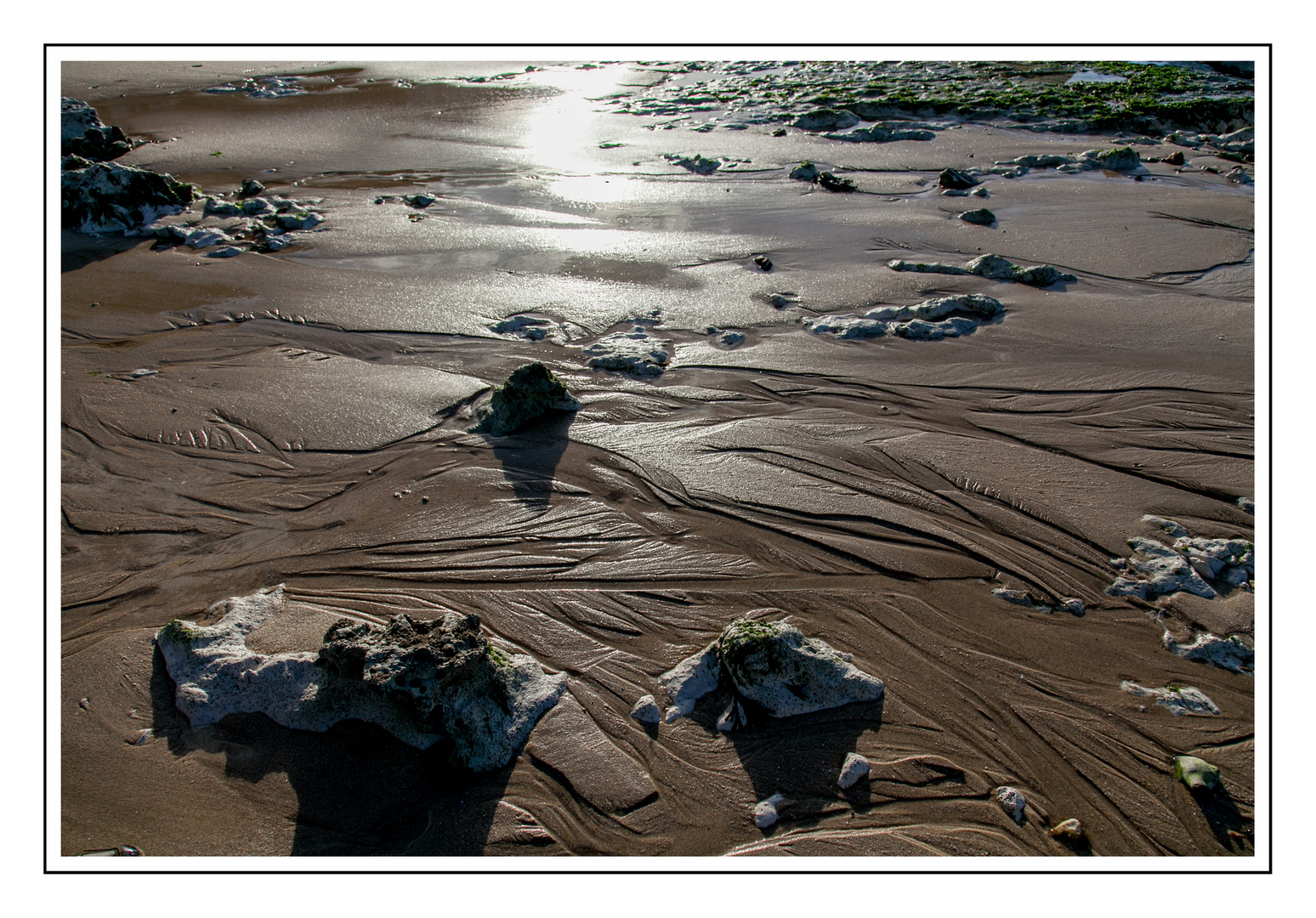 Der Strand von Criel sur Mer