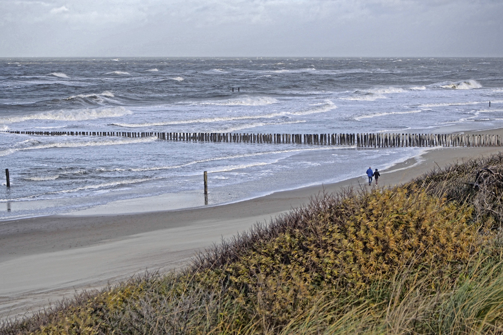 Der Strand von Domburg (Zeeland, NL) vom Dünenkamm aus gesehen