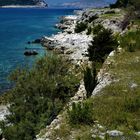 Der Strand von Goli Otok - 50 Meter links vom Schrecken