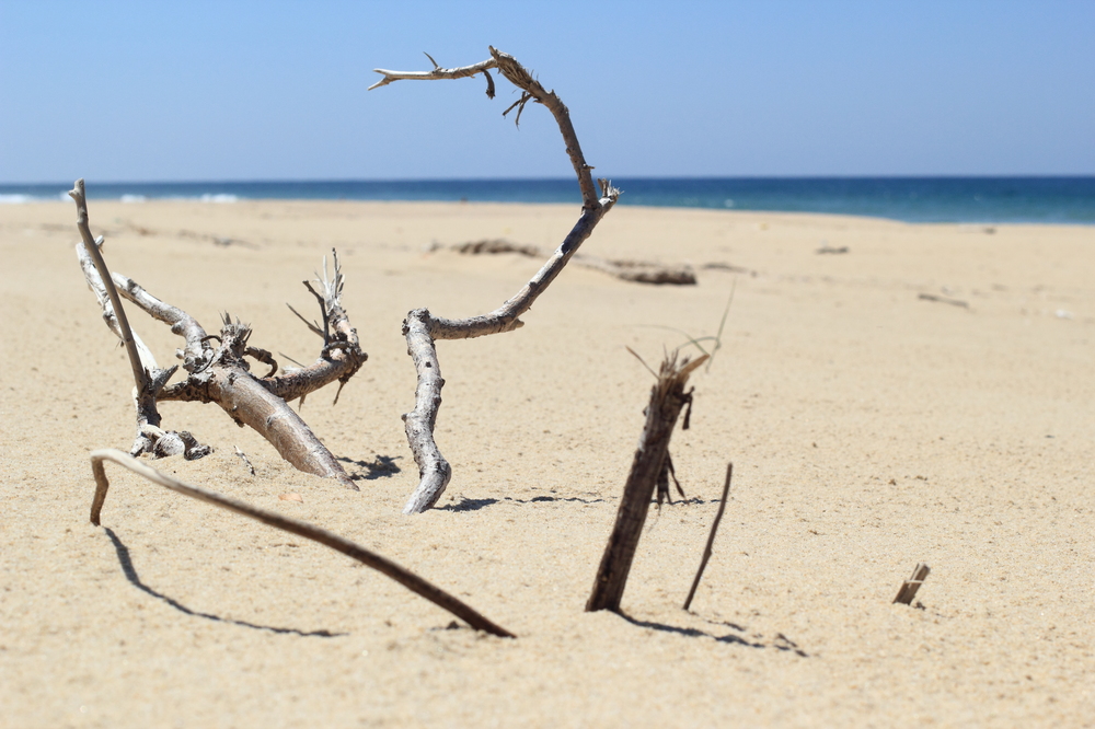 Der Strand von Le Porge