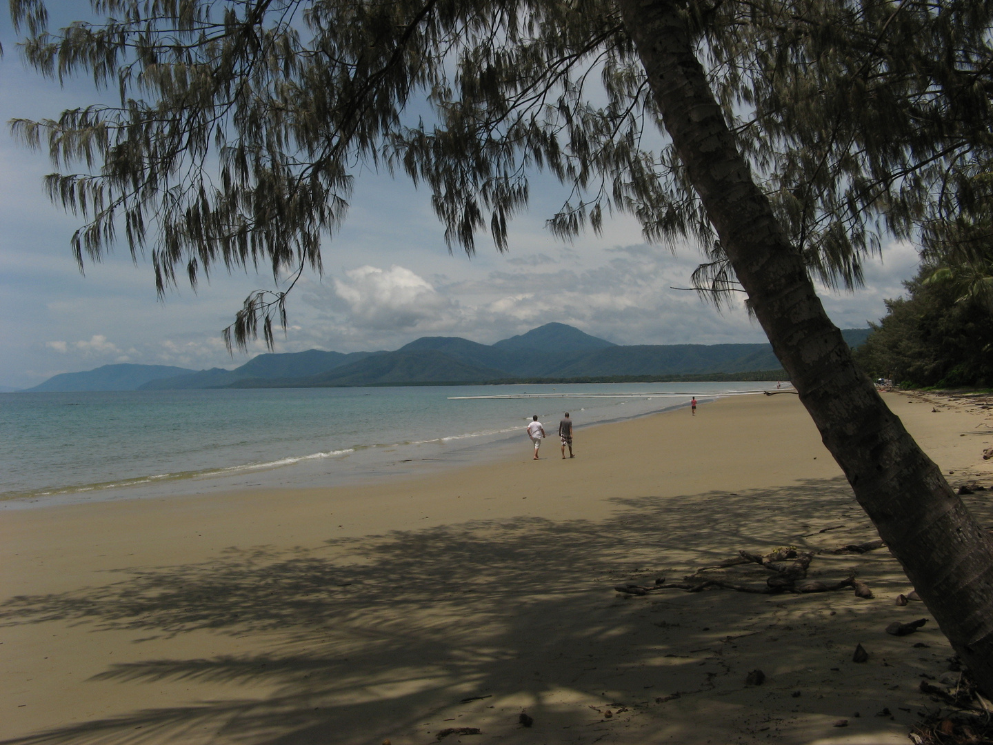 Der Strand von Port Douglas