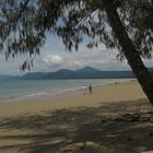 Der Strand von Port Douglas