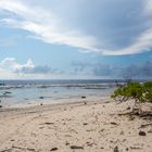 Der Strand von Rangiroa