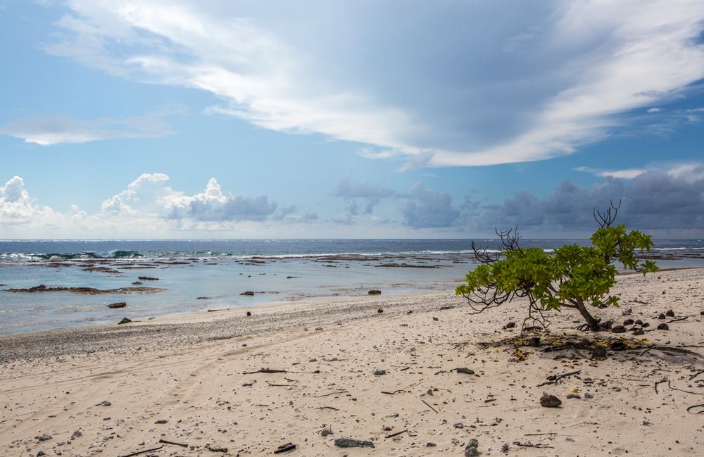 Der Strand von Rangiroa