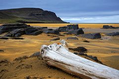 Der Strand von Raudisandur