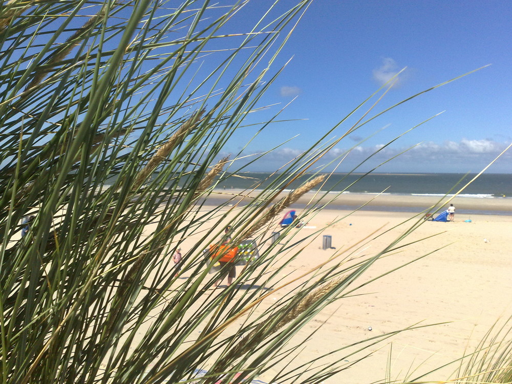 Der Strand von Renesse