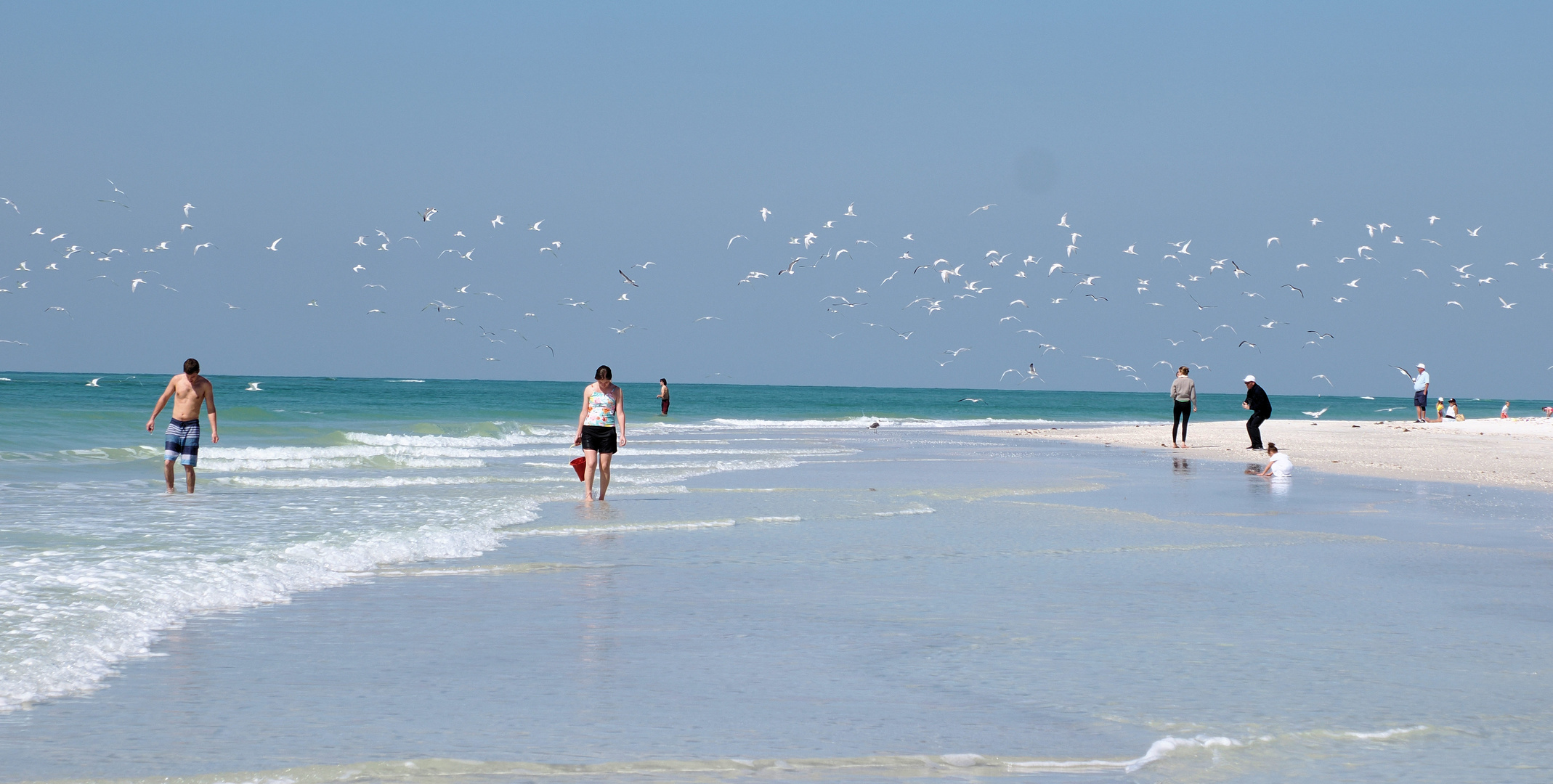 Der Strand von Sarasota 