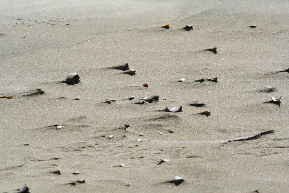 Der Strand von Vejers