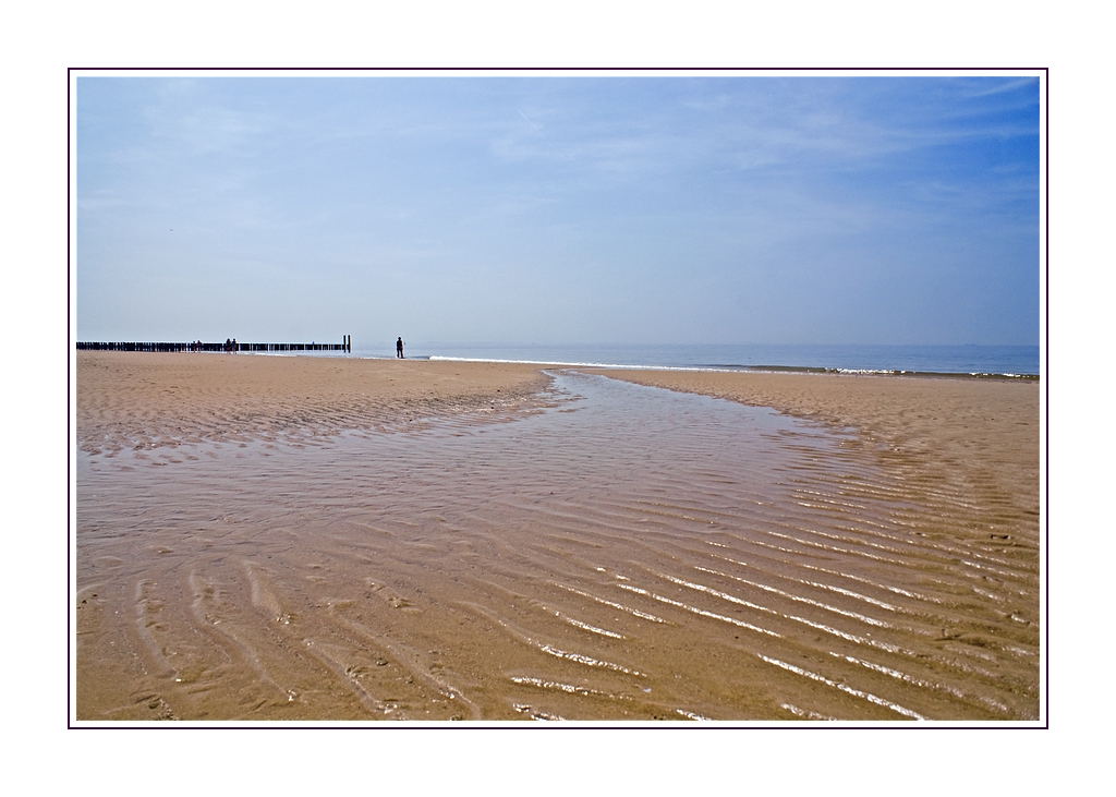 Der Strandgänger