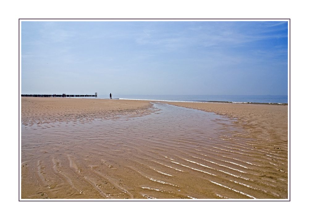 Der Strandgänger