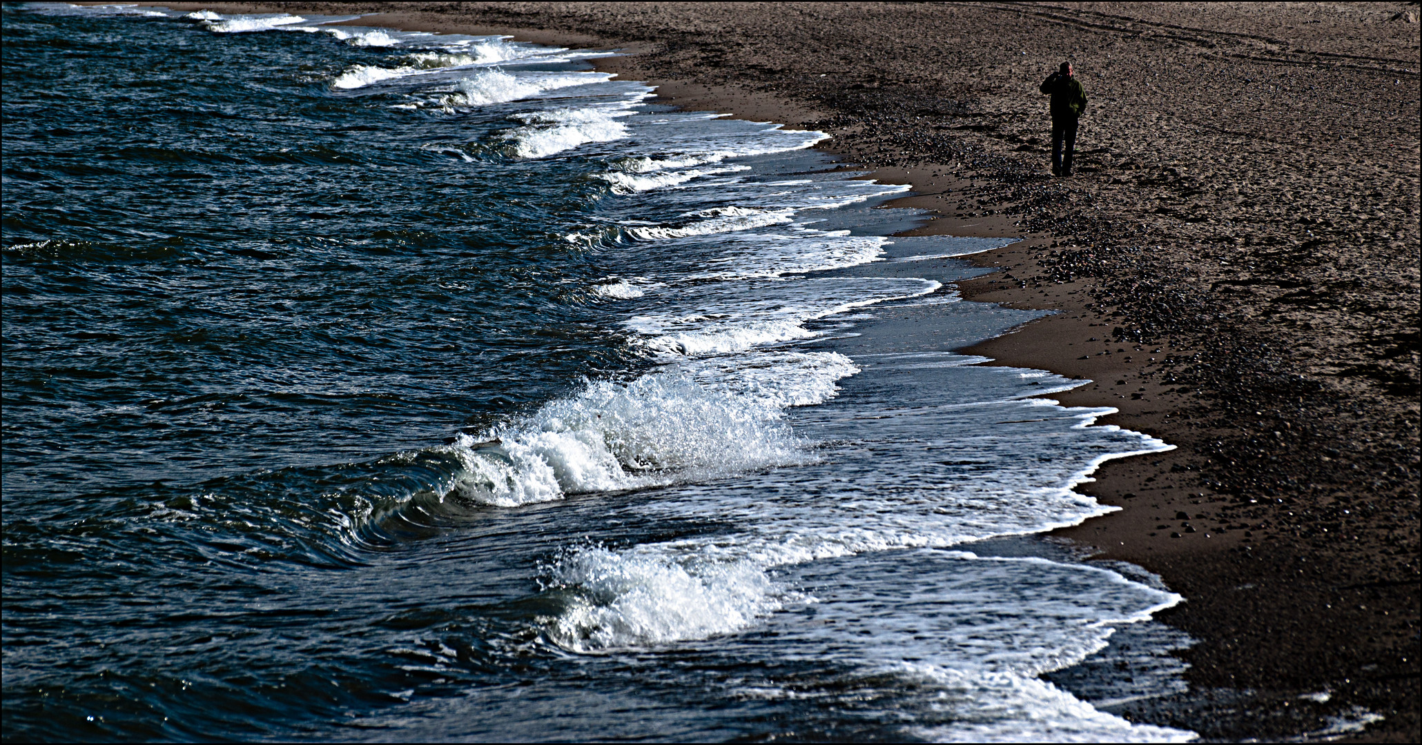 Der Strandläufer