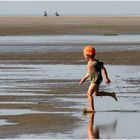 Der Strandläufer