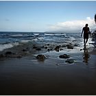 Der Strandläufer