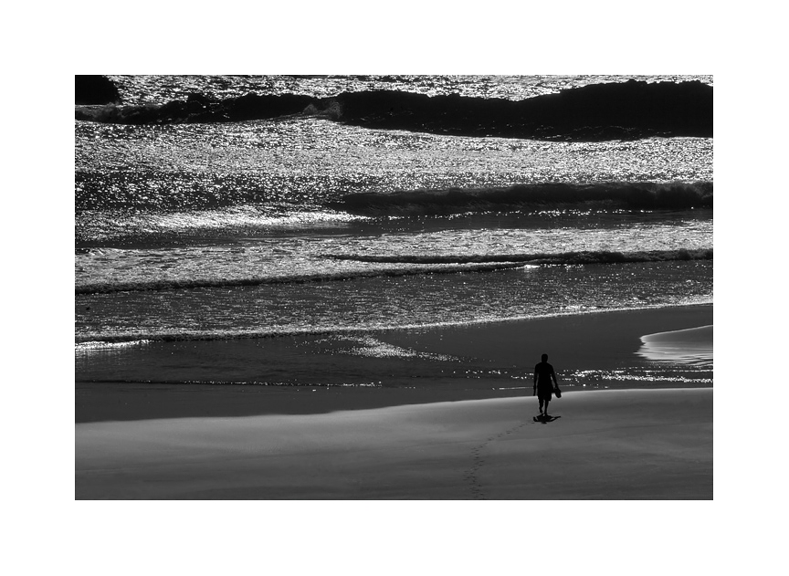 Der Strandläufer