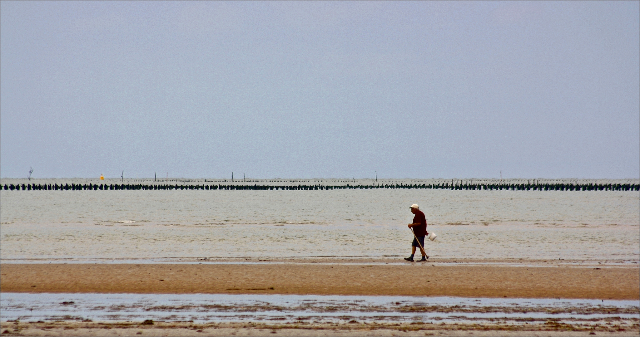 Der Strandläufer