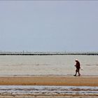 Der Strandläufer